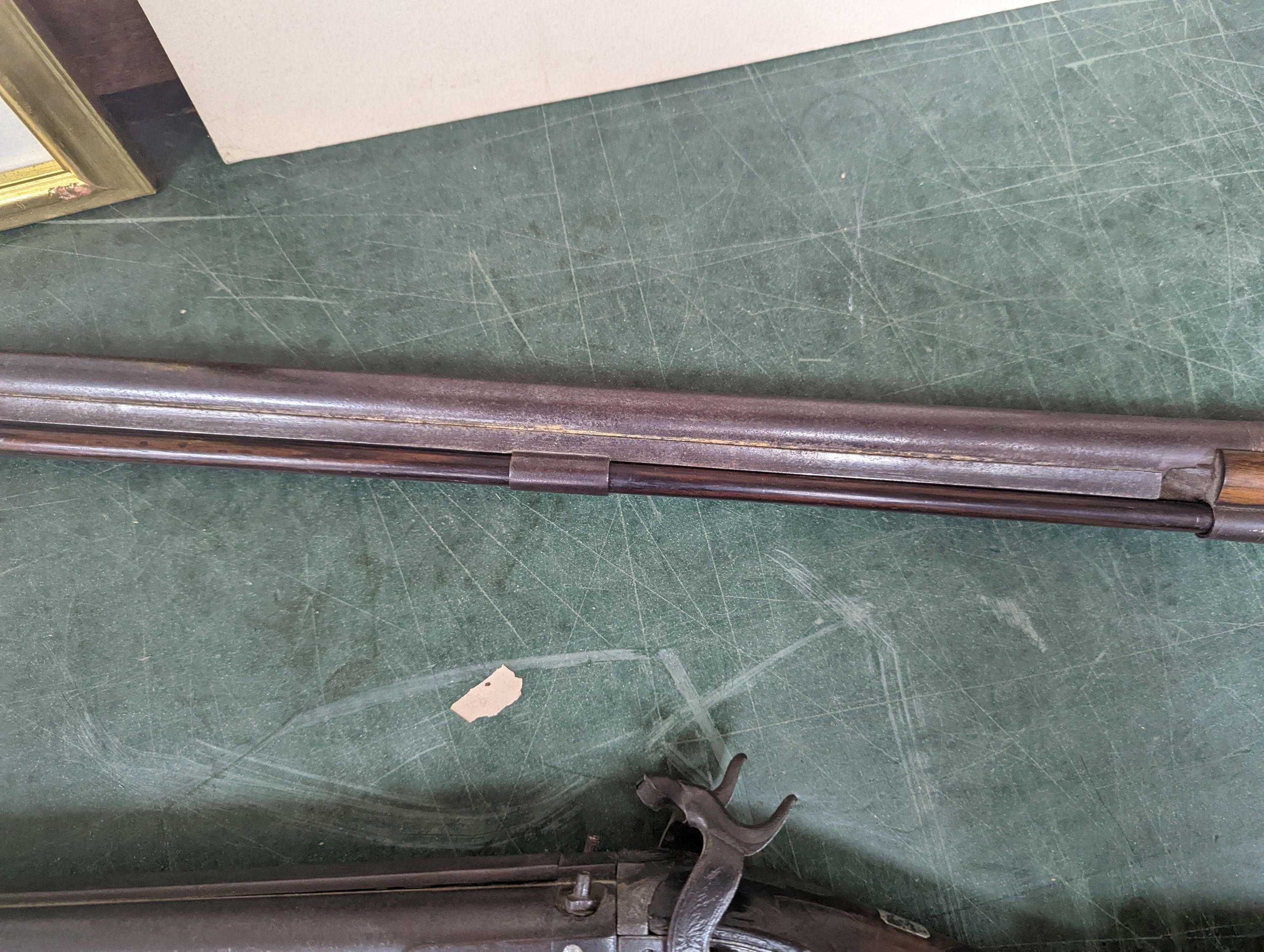 Two 19th century percussion muskets, 103cm. max., one double-barrelled